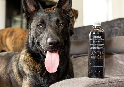 Anju Beaute Ebene Color Intensifying Shampoo – Enhances Black and Dark Coats, 250ml