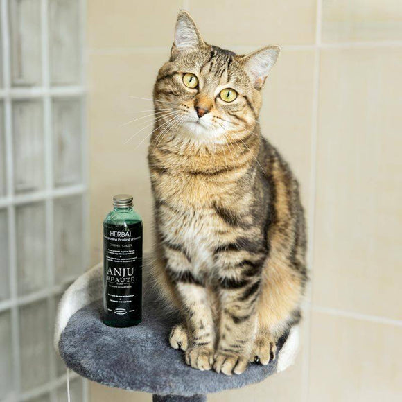 Anju Beaute Pure Energie Ultra Hypoallergenic Shampoo 250ml – Gentle Cleansing Formula, Sensitive Skin Care