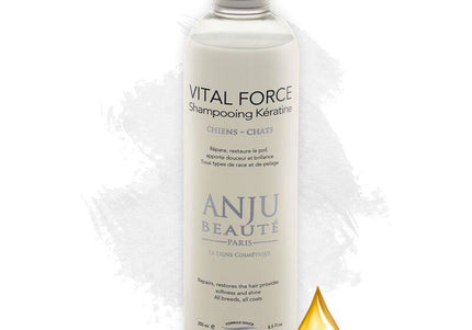 Anju Beaute Vital Force Regenerating Moisturizing Shampoo 250ml – Nourishing Coat Care Formula