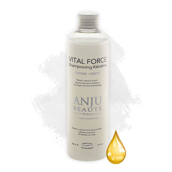 Anju Beaute Vital Force Regenerating Moisturizing Shampoo 250ml – Nourishing Coat Care Formula