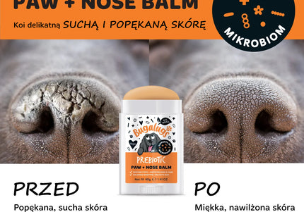 Bugalugs Pre, Post + Probiotic Paw & Nose Balm Stick 40g