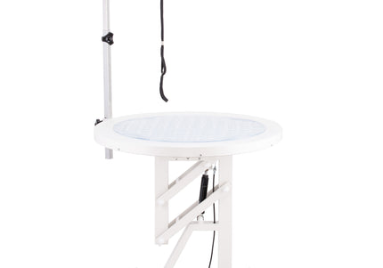 Blovi Luce Air Lift LED Grooming Table – Illuminated Rotating Top, Pneumatic Height Adjustment 70cm