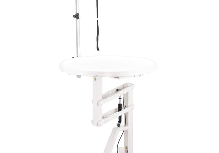 Blovi Luce Air Lift LED Grooming Table – Illuminated Rotating Top, Pneumatic Height Adjustment 70cm
