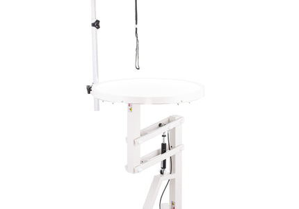 Blovi Luce Air Lift LED Grooming Table – Illuminated Rotating Top, 60cm Pneumatic Lift