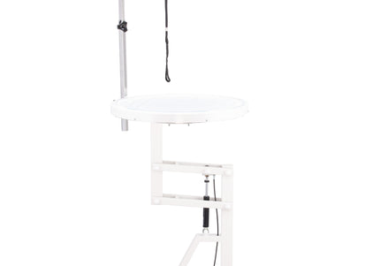 Blovi Luce Air Lift LED Grooming Table – Illuminated Rotating Top, 60cm Pneumatic Lift