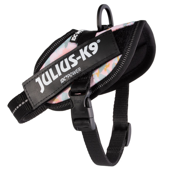 Julius-K9 IDC Powerharness Pretty – Reflective Floral Pattern Harness with Secure Fit