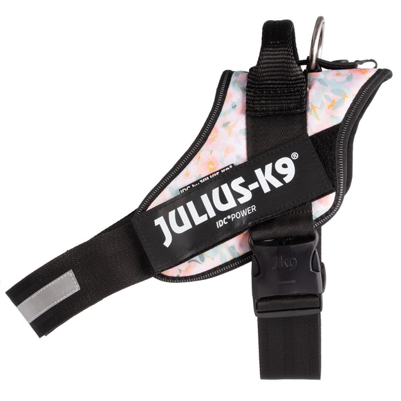 Julius-K9 IDC Powerharness Pretty – Reflective Floral Pattern Harness with Secure Fit