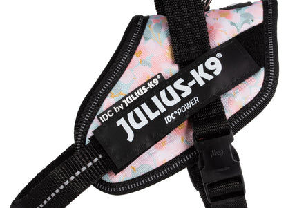 Julius-K9 IDC Powerharness Pretty – Reflective Floral Pattern Harness with Secure Fit