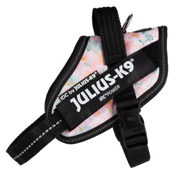 Julius-K9 IDC Powerharness Pretty – Reflective Floral Pattern Harness with Secure Fit