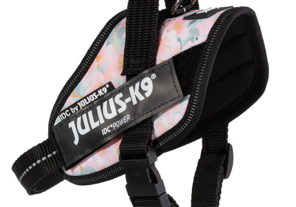 Julius-K9 IDC Powerharness Pretty – Reflective Floral Pattern Harness with Secure Fit