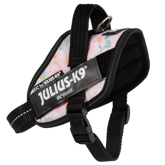 Julius-K9 IDC Powerharness Pretty – Reflective Floral Pattern Harness with Secure Fit