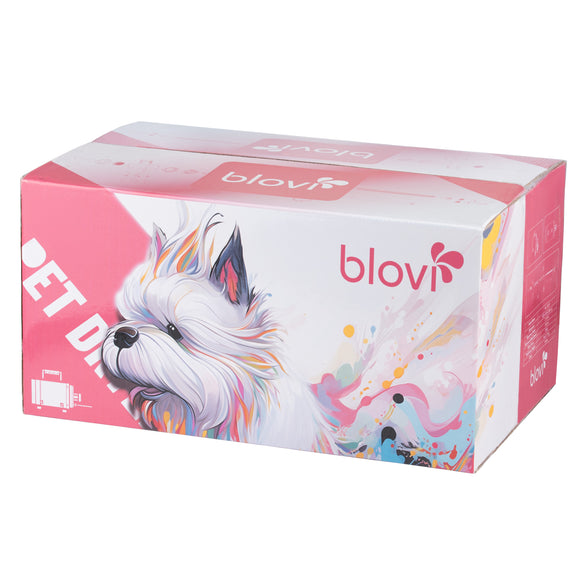 Blovi Furious Dryer 2800W – Powerful Single-Motor Tabletop Dryer with Adjustable Airflow