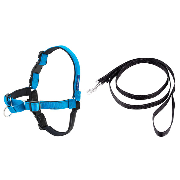 PetSafe Easy Walk Deluxe Harness – Soft Black and Blue Dog Harness with Leash, Medium