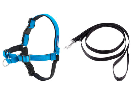 PetSafe Easy Walk Deluxe Harness – Soft Black and Blue Dog Harness with Leash, Medium