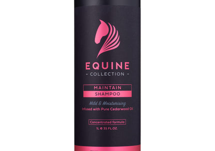ProGroom Equine Collection Maintain Shampoo 1L – Concentrated Formula with Conditioner, Gentle Cleansing