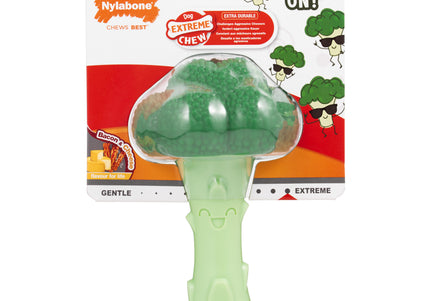 Nylabone Power Chew Broccoli – Hard Chew Toy, Cheese and Bacon Scented, Durable Design