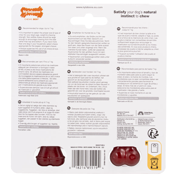 Nylabone Power Chew Basted Blast Bone XS – Hard Dual-Flavor Bacon and Steak Chew Set, 2 Pack