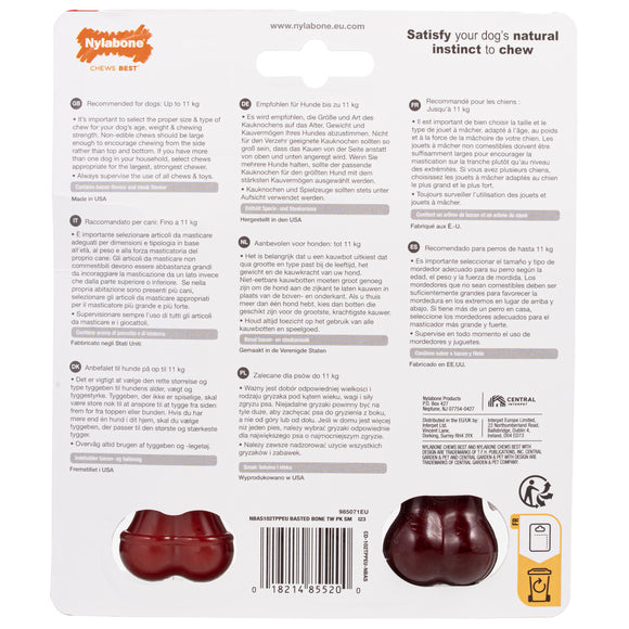 Nylabone Power Chew Basted Blast Bone XS – Hard Dual-Flavor Bacon and Steak Chew Set, 2 Pack