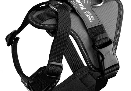 Julius-K9 IDC Longwalk Light Harness Anthracite – Lightweight Trekking Design with GPS Pocket, XS Gray