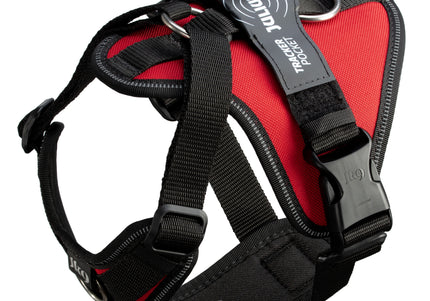 Julius-K9 IDC Longwalk Light Harness Red XXL – Lightweight Trekking Design with GPS Pocket