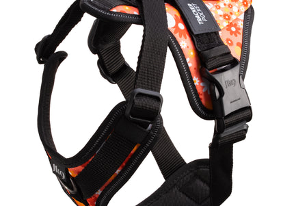 Julius-K9 IDC Longwalk Light Harness Pink Flower – Lightweight Trekking Harness with GPS Pocket, Size S