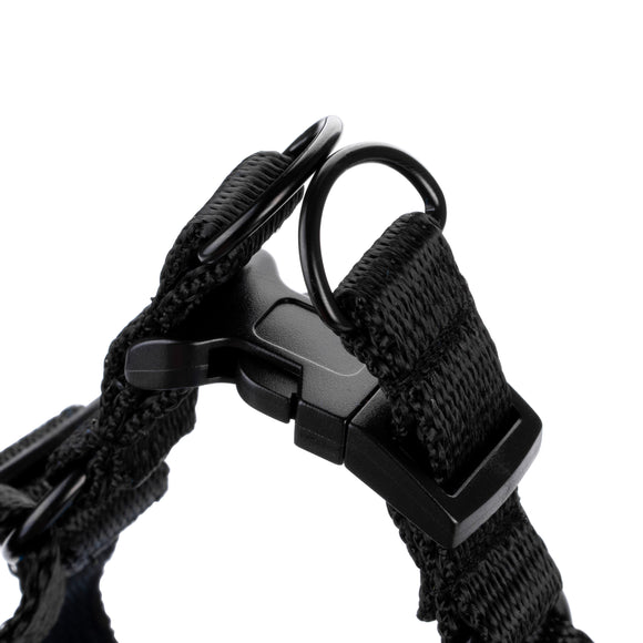 Biglo Air Flow Turquoise Harness – Lightweight Pressure-Free Design, XS Size