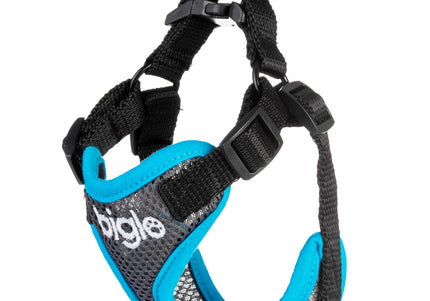 Biglo Air Flow Turquoise Harness – Lightweight Pressure-Free Design, XS Size