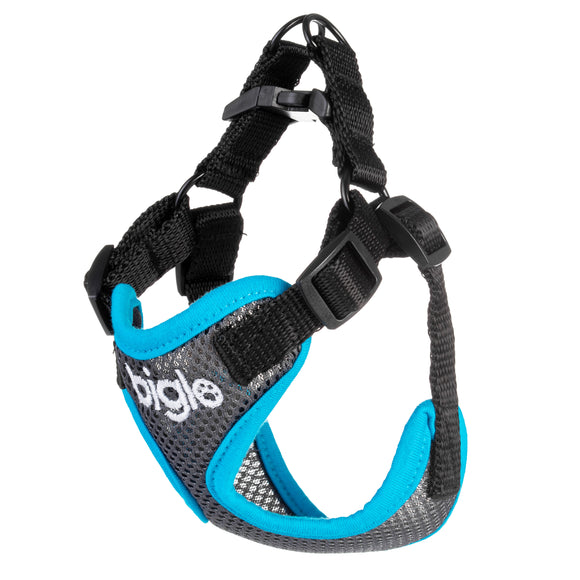 Biglo Air Flow Turquoise Harness – Lightweight Pressure-Free Design, XS Size