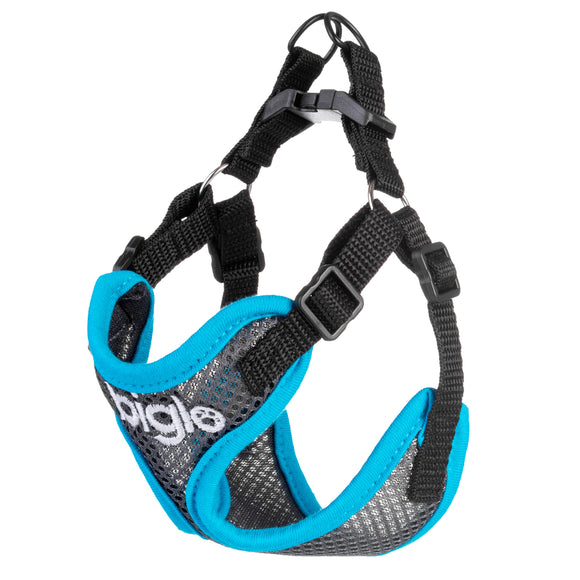 Biglo Air Flow Turquoise Harness – Lightweight Pressure-Free Design, XS Size