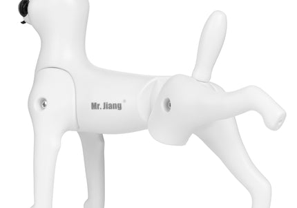 Mr. Jiang Small Model Dog – Realistic Training Dummy, Fur-Free Design for Demonstration