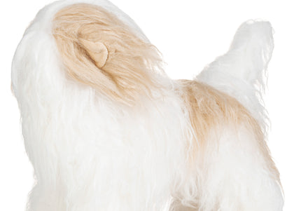Mr. Jiang Shih Tzu Full Body Hair – Champagne & White Replacement Coat, Small Model Mannequin