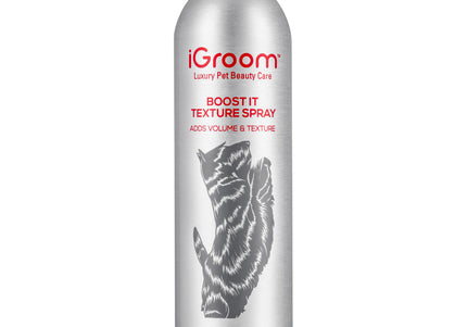 iGroom Boost It Texture Spray 198g – Volumizing and Texturizing Formula, Lightweight Finish