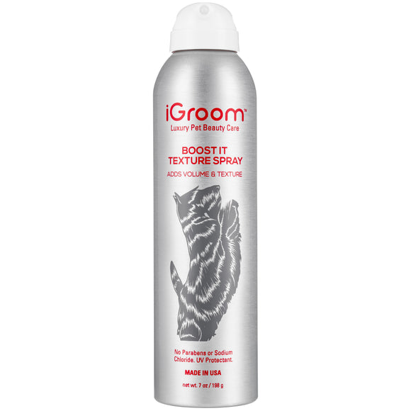 iGroom Boost It Texture Spray 198g – Volumizing and Texturizing Formula, Lightweight Finish