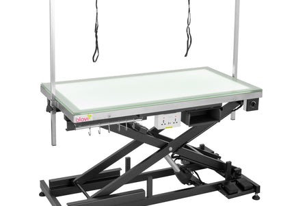 Blovi Luminous Pro Black Grooming Table with Lift and Illuminated LED Glass Top