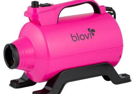 Blovi Lady Pink Dryer 2600W – Table Dryer with Adjustable Airflow and Dual Temperature Control