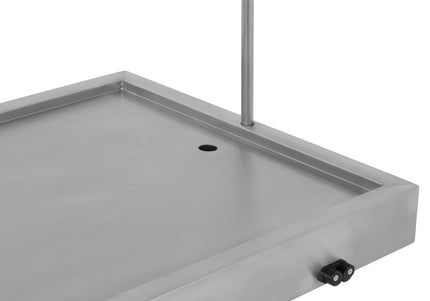 Blovi VT11 Veterinary Treatment Table with Very Low Lowering