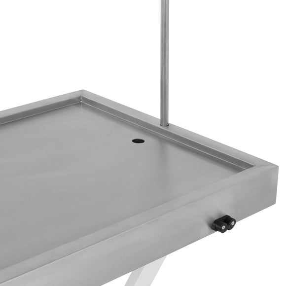 Blovi VT11 Veterinary Treatment Table with Very Low Lowering