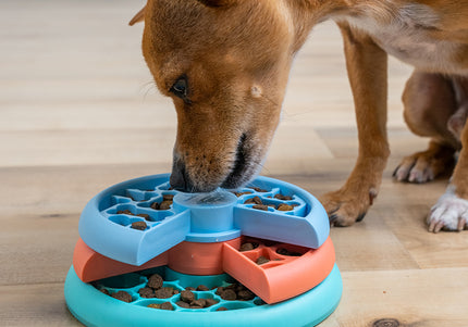 Nina Ottosson Puppy Lickin' Layers Level 2 – Interactive Slow Feeder Bowl and Puzzle Game, Educational Design