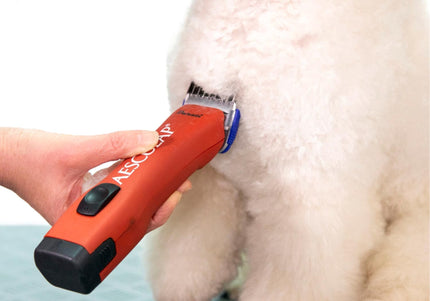 Aesculap Clip-On Comb Set – Stainless Steel Attachments, Precision Fit for Snap-On Blades