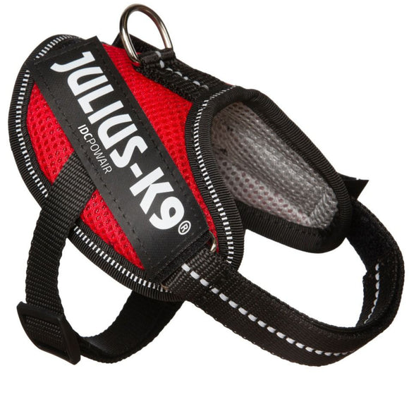 Julius K9 IDC Powair Harness Red – Lightweight Breathable Mesh Dog Harness, XXL Size