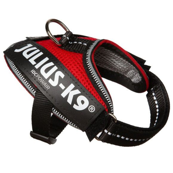Julius K9 IDC Powair Harness Red – Lightweight Breathable Mesh Dog Harness, XXL Size