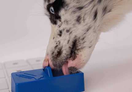 Pawzler Onix Dog Puzzle Module – Level 1 Interactive Extra Block, Durable Design