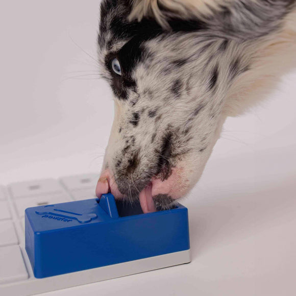 Pawzler Onix Dog Puzzle Module – Level 1 Interactive Extra Block, Durable Design