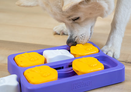 Nina Ottosson Dog Brick Puzzle – Interactive Level 2 Medium Game, Durable Enrichment Toy