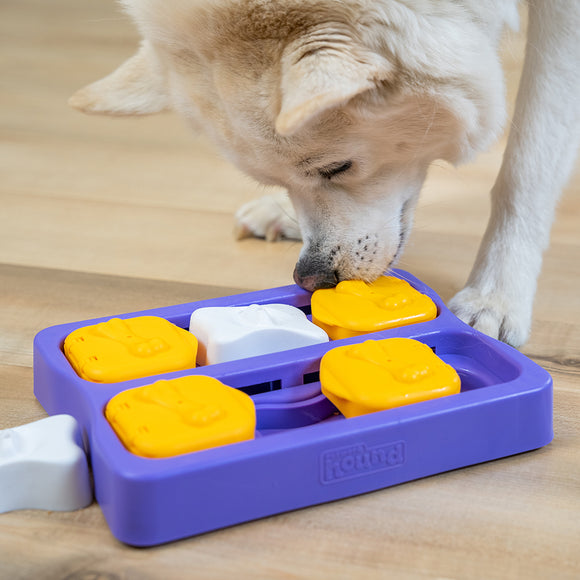 Nina Ottosson Dog Brick Puzzle – Interactive Level 2 Medium Game, Durable Enrichment Toy