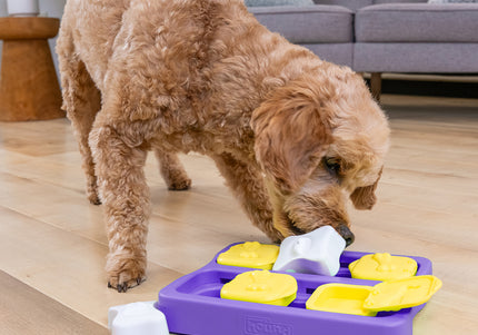 Nina Ottosson Dog Brick Puzzle – Interactive Level 2 Medium Game, Durable Enrichment Toy