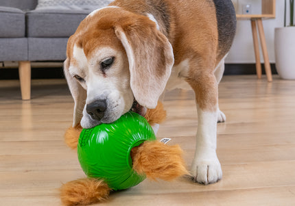 Nina Ottosson Snuffle N' Treat Ball Level 2 Small – Interactive Puzzle Toy with 4 Squirrels