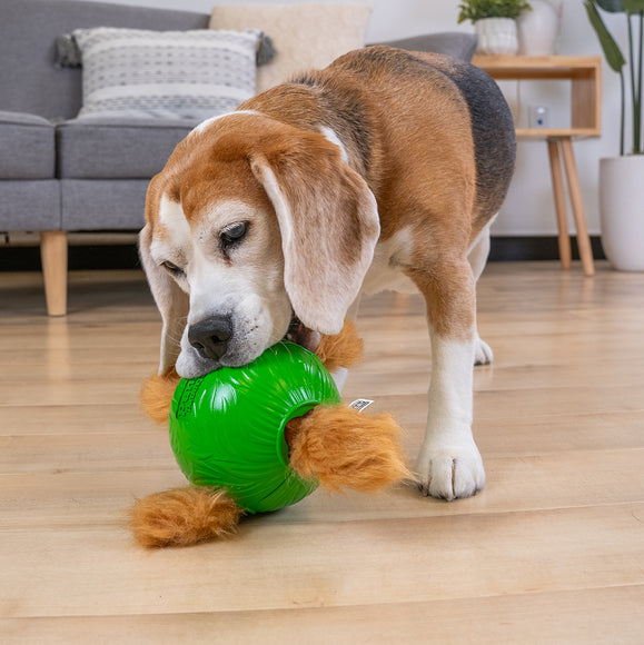 Nina Ottosson Snuffle N' Treat Ball Level 2 Small – Interactive Puzzle Toy with 4 Squirrels