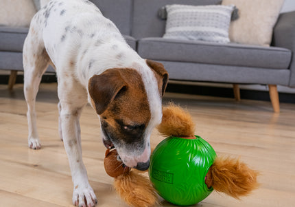 Nina Ottosson Snuffle N' Treat Ball Level 2 Small – Interactive Puzzle Toy with 4 Squirrels