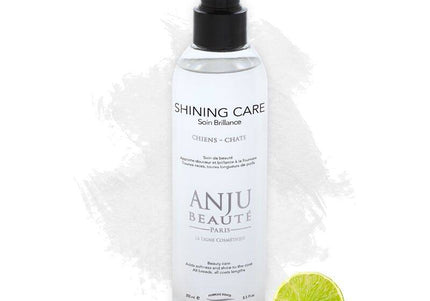 Anju Beaute Shining Care Spray – Coat Polishing Formula, 150ml, Enhances Shine and Smoothness